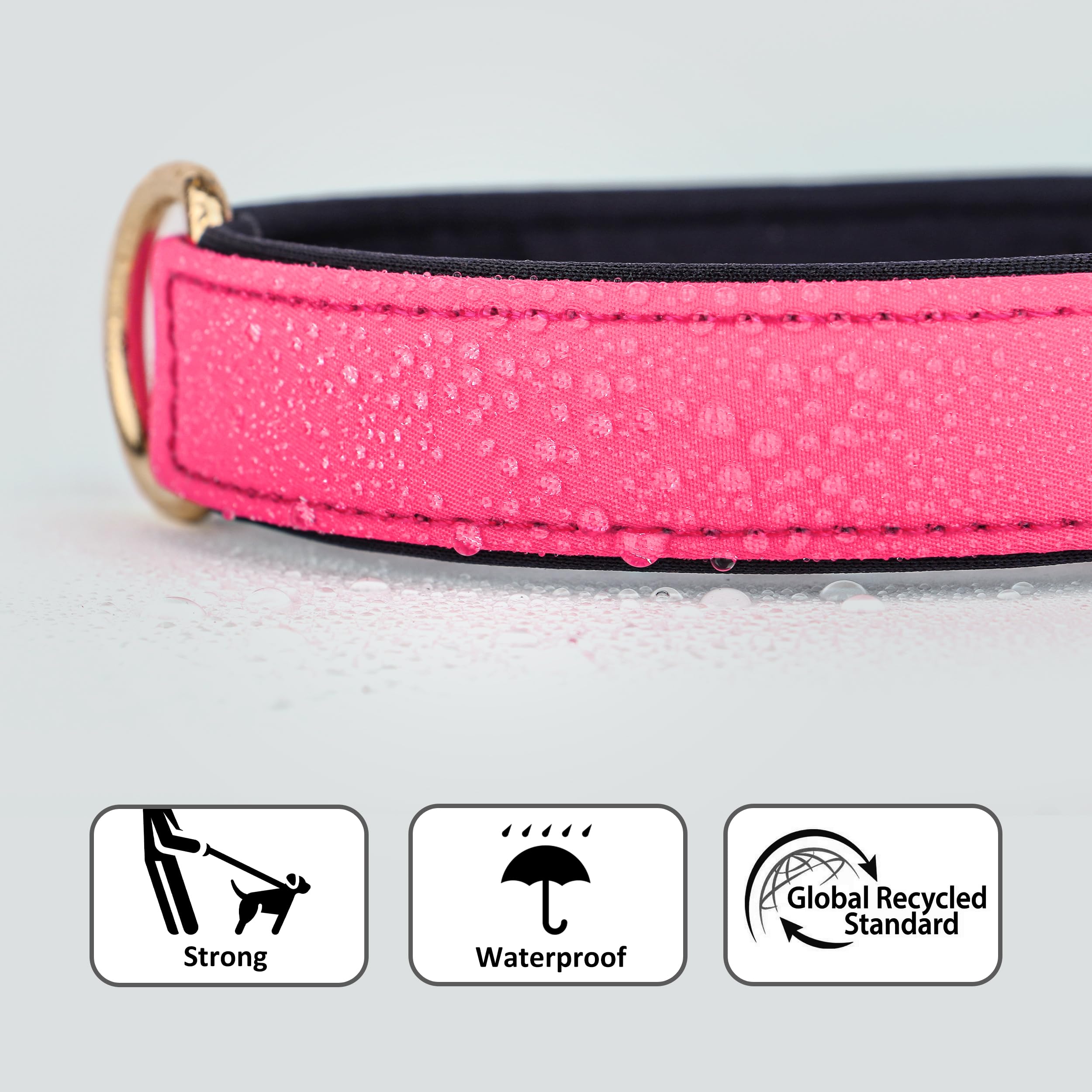 Didog Soft Padded Dog Collars For Medium Dogs, Lightweight And Breathable Pink Dog Collar Waterproof With Metal Buckle, Pink, M
